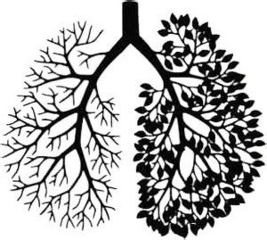 UNIQUE ADS MEDIA Lung Shaped Tree Branch Wall Hanging Art Home Décor ...