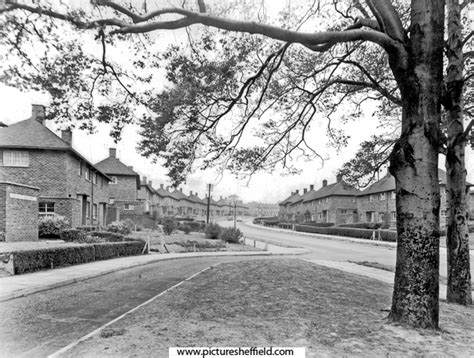 Searching Picture Sheffield