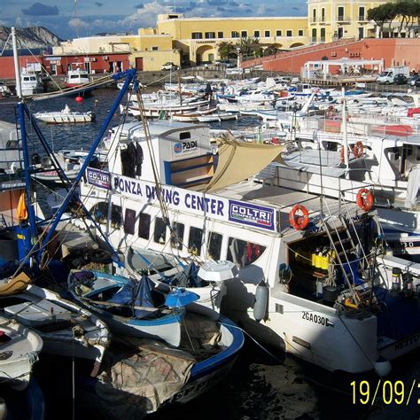 PONZA DIVING CENTER (2026) All You Need to Know BEFORE You Go (with ...