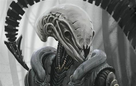 Image result for Alien Isolation Xeno Design