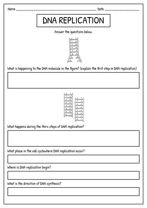 Image result for DNA Simulation Worksheet