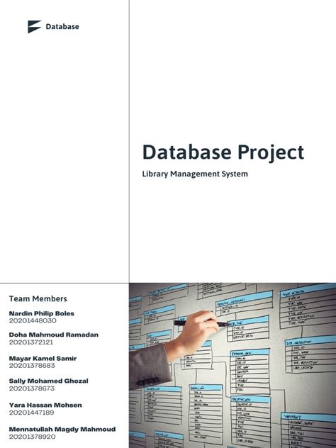Database Reporting 的图像结果