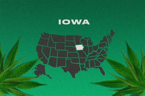 Marijuana Buds Vs Marijuana Flower- What Is The Difference