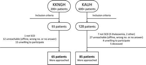 Image result for Single Sampling Plan Flowchart