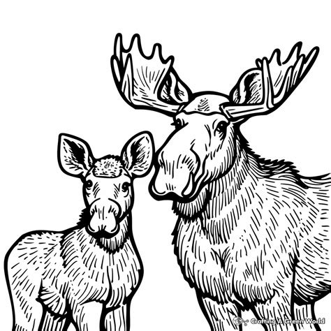 Easy Moose Coloring Pages Printable Cute Moose Coloring Page