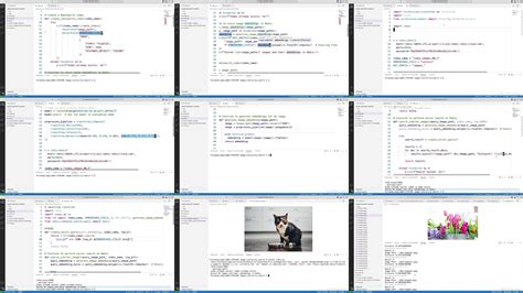 Redis Vector Database 的图像结果