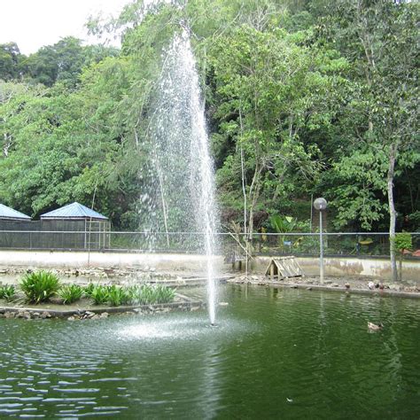 LABUAN BIRD PARK (2025) All You Need to Know BEFORE You Go (with Photos ...