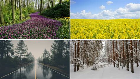 Weather in Ireland in March 2025: Temp, Rain, Wind, Light