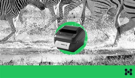 Image result for Python Zebra Label Printer