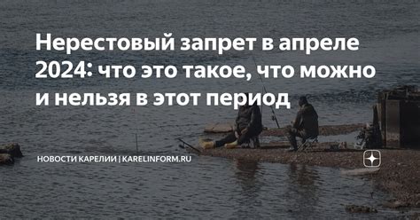 Нерестовый запрет в апреле 2024: что это такое, что можно и нельзя в ...