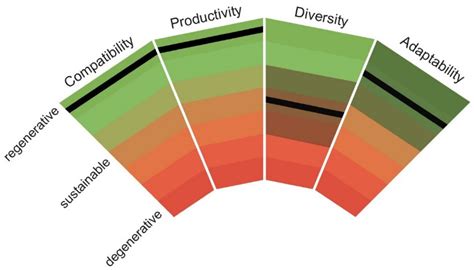 Characterizing Regenerative Aspects of Living Root Bridges