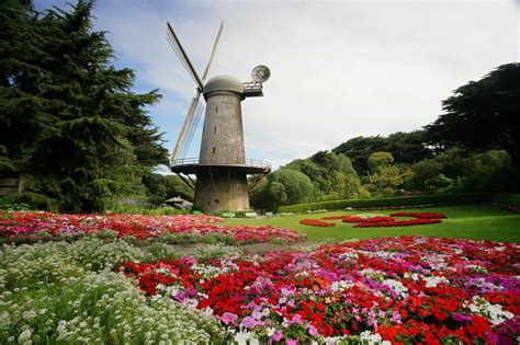 North-dutch-windmill--queen-wilhelmina-tulip-gardens-golden-gate-park ...