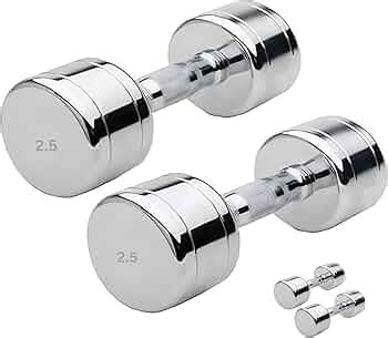 Stainless Steel Dumbbell Set Home Gym Adjustable Dumbal 2.5 Kg ...