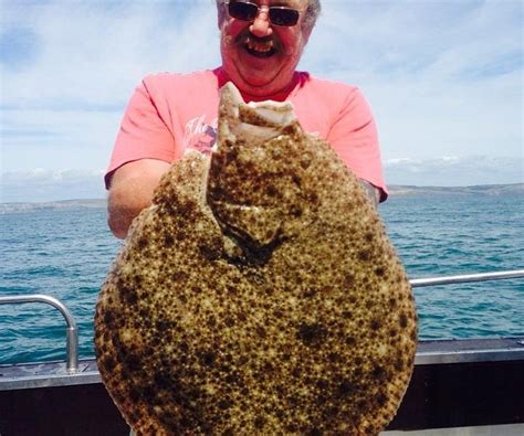 SWANAGE SEA FISHING (2026) All You Need to Know BEFORE You Go (with ...