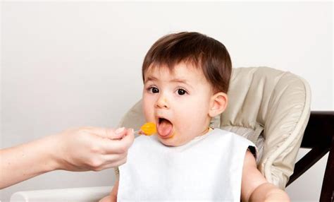 咀嚼能力对孩子的影响 怎么锻炼宝宝的咀嚼能力 _八宝网
