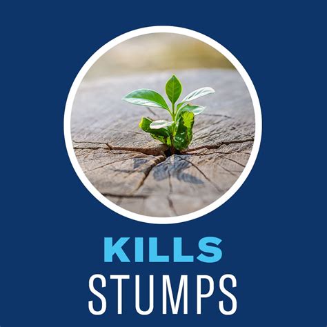 Buy BioAdvanced Brush Killer Plus, Liquid Concentrate, 32 oz, Herbicide ...