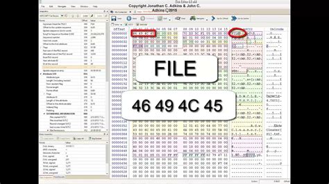Image result for Master File Examples
