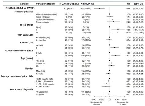 Adjusted Comparison of Outcomes between Patients from CARTITUDE-1 ...