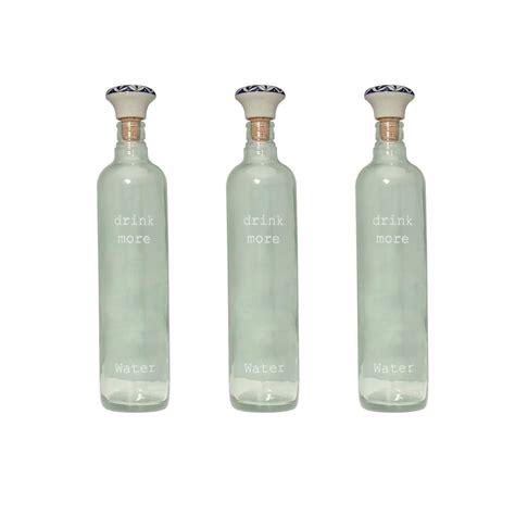 Ellementry Drink More Glass Bottle with Ceramic Stopper (750 ML)- Leak ...