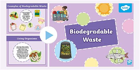 Biodegradable Waste PowerPoint Lower Primary (teacher made)
