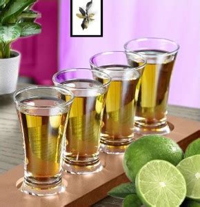 GreenFeather (Pack of 12) Luxury Premium Quality Heavy Base Shot Glass ...