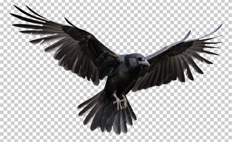 Image result for JUnit Test Example