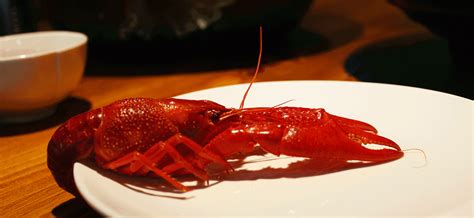 日本立法禁售小龙虾，泛滥成灾直接踩碎当饲料，网友直呼暴殄天物-美食视频-搜狐视频
