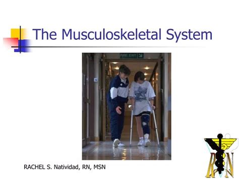 Image result for Musculoskeletal System Word