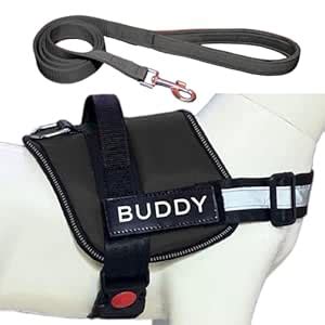 PAYTON PERRY Dog Harness with Leash | Dog Belt for Medium Dogs | No ...
