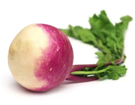 Turnip Seeds, Non-Hybrid Top Turnip Purple Shalgam Vegetable Seeds Pack ...