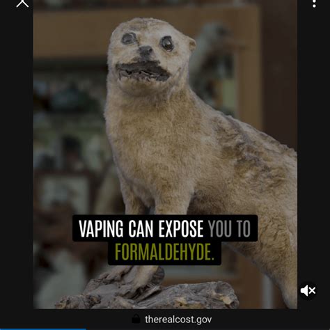 The Real Cost back at it again with its taxidermy. : r/CommercialsIHate