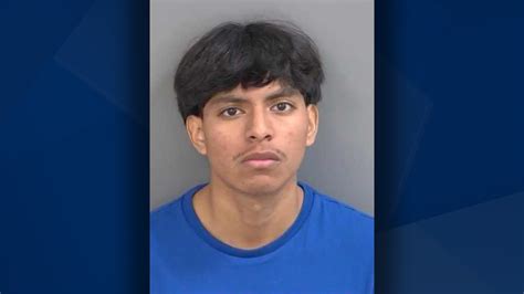 Teen arrested after high-speed chase in Collier County