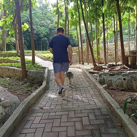DIAMOND PARK (2026) All You Need to Know BEFORE You Go (with Photos ...