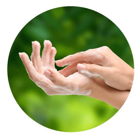 Ayouthveda Hand Wash | Buy Herbal Hand wash Online | Best Hand Wash