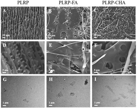 Non-Covalent Interactions of Lotus Root Polysaccharides and Polyphenols ...