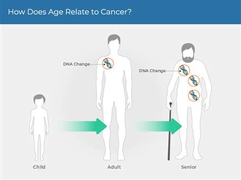 How Does Cancer Develop 的图像结果