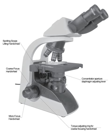 microscope-definition-function-structure-classification-and-different ...