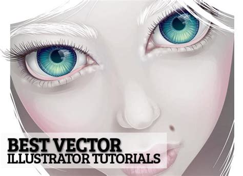 Image result for How to Create Tutorial Video of Draw Vector in Illustrator