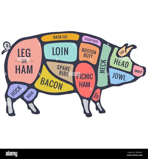 What Parts Of A Pig Are Not Edible at Scott Cahill blog