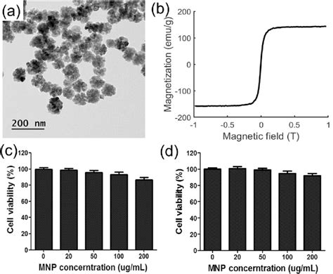 Image result for Nanoparticles Biocompatibility