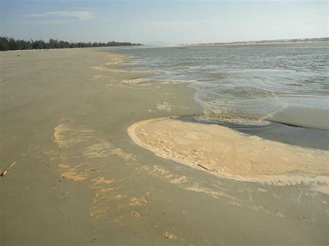 BORNEO BEACH & MANGROVE RESORT (Tuaran) - Specialty Resort Reviews ...