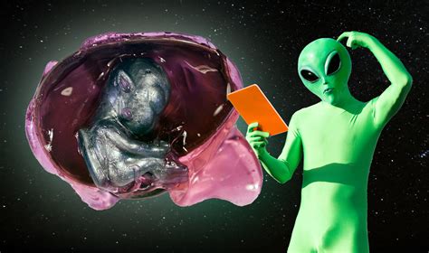 Alien Egg Toy 的图像结果