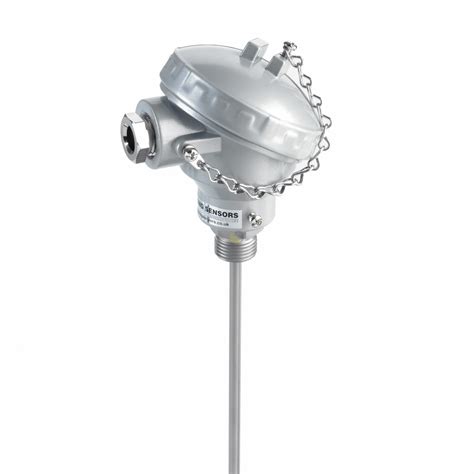 Resistance Temperature Detectors - Baumer RTD Assembly With Sanitary ...
