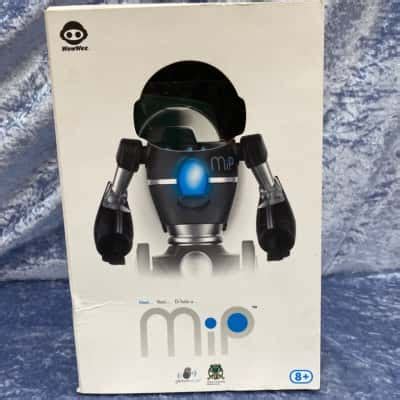 MIP Robot 的图像结果