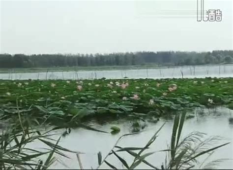 【纪念耕战频道分家两周年】CCTV7 农业节目 (2013~2019) ID 无水印_哔哩哔哩_bilibili