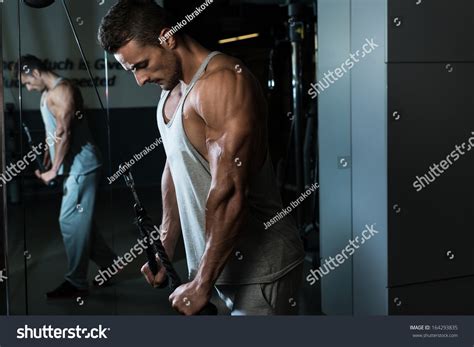 Triceps Pull Down Workout Stock Photo 164293835 | Shutterstock
