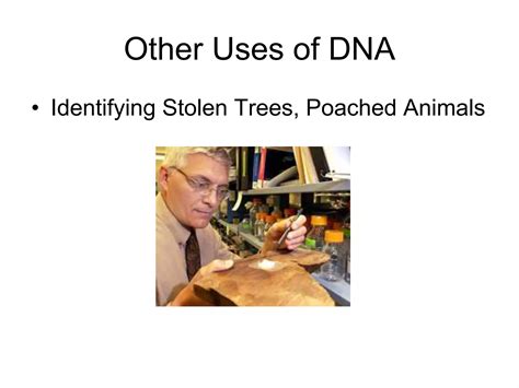 DNA in Forensic Science 的图像结果