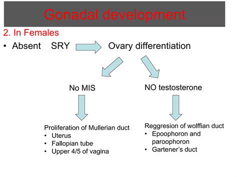 Disorders of sex development | PPTX