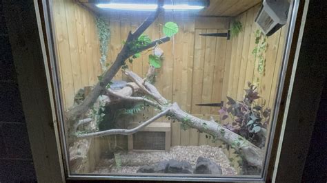 Image result for 15 Foot Python Enclosure