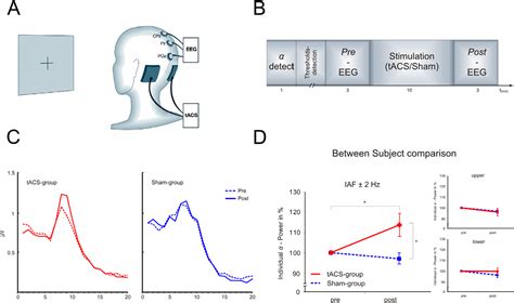 Transcranial Alternating Current Stimulation 的图像结果